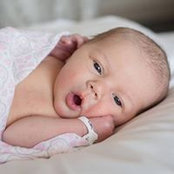 Jim Taliano's photo