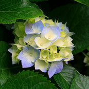 W Shumate's photo