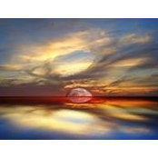 Cecilia Gallucci's photo