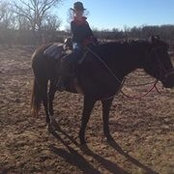 Tisha Messley's photo