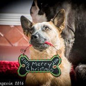Lynda Kitzinger's photo