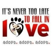 Tastc Shelter's photo