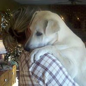 Amy Miller's photo