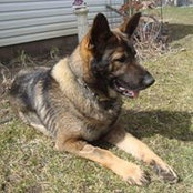 Sharon Amaro's photo
