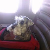 Robert Macko's photo