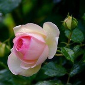 Foto von Tatiana Candy
