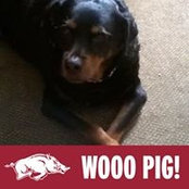 Beverly Lynn Eshliman's photo