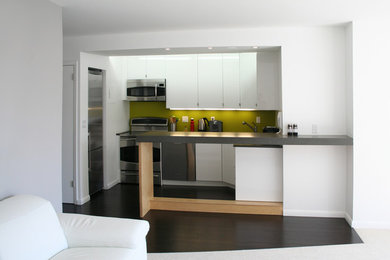 Kitchen - contemporary kitchen idea in New York