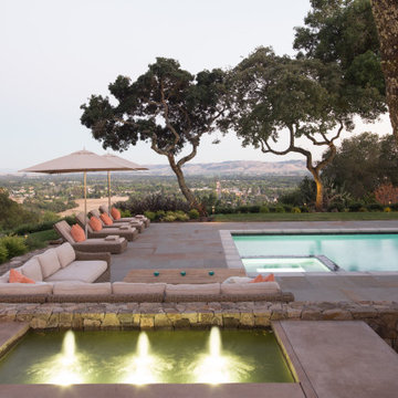 Top of the Hill Contemporary