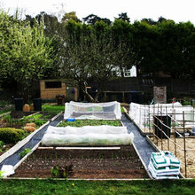 Garden and Yard