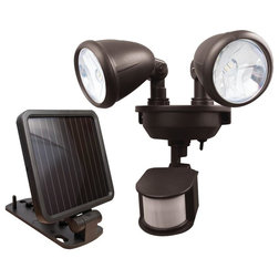 Transitional Outdoor Flood And Spot Lights by Ami Ventures
