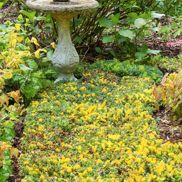 Creative Uses for Etera® Sedum Tiles®