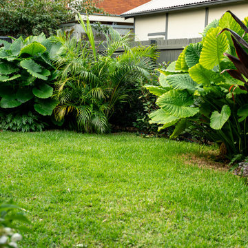 Tropical Garden