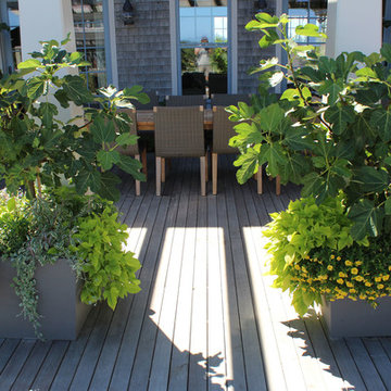 Window Boxes / Containers