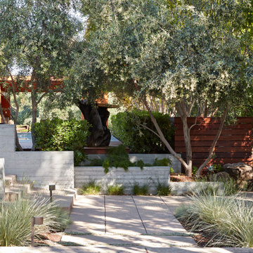 Los Gatos Garden