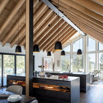 Mountain Modern Cabin - HMH Architecture + Interiors