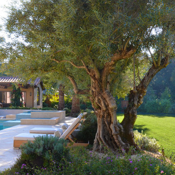 MEDITERRANEAN ESTATE