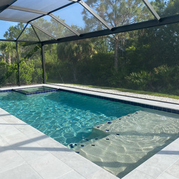 Pool Cage - Picture Window