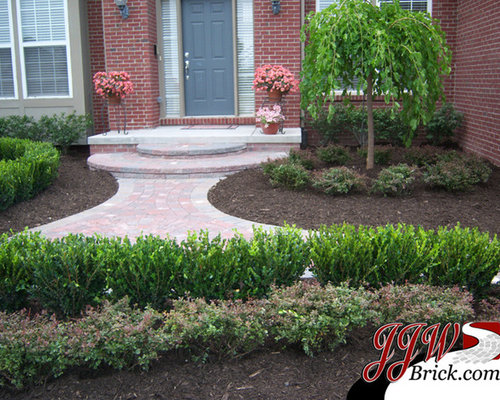 Weeping Willow Tree | Houzz