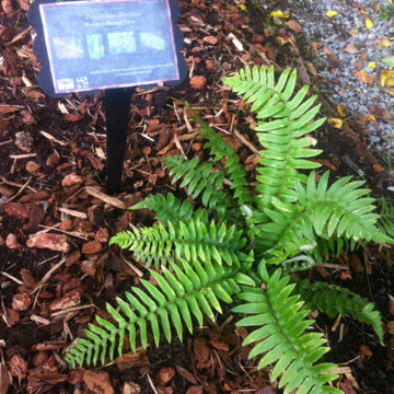 Educational & Interactive Gardens