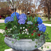 Container Garden