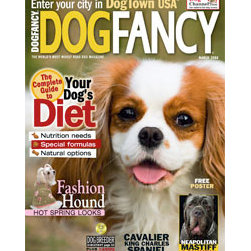 Magazine Covers - Magazine Racks
