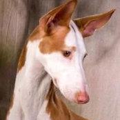 Cathy Hjelm's photo