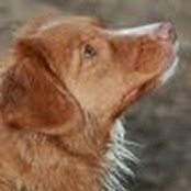 Matt Stephure's photo