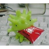 Yuko Edaさんの写真
