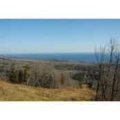 Raquel Braun's photo