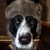 Karen Freeman's photo