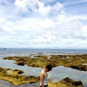 Yao Ting Hsieh's photo