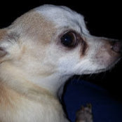 gary hentges's photo