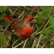 Teresa Everett's photo