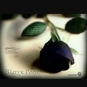 Mona Ayman's photo