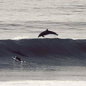 Steve Taylor's photo