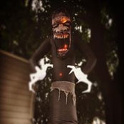 Staci Goldstein's photo