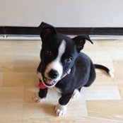 Laura Gares's photo