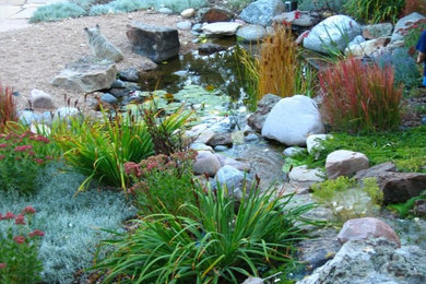 This is an example of a traditional landscaping in Denver.