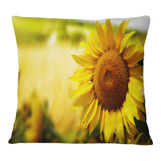 Designart Large Orange Gerbera on White - Floral Throw Pillow - 18x18