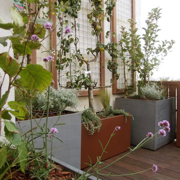 zoom sur les plantes dans les jardinières