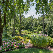 LIKES – Front Yard