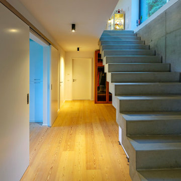 Augsburger Holzhaus "Modernes Kubisches Holzhaus"