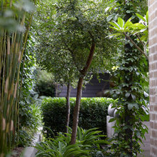 New Garden