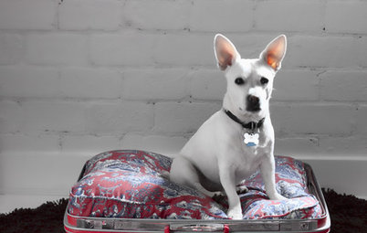 Craft: How to Make a Dog Bed From a Vintage Suitcase