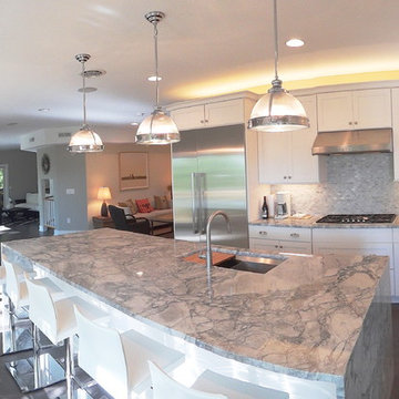 Tree Top Kitchen Addition & Remodel