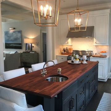 Complete Home Update (Lake Bluff)