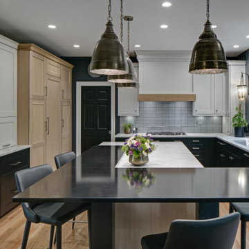Modern Sophisticated Kitchen - Oswego, IL