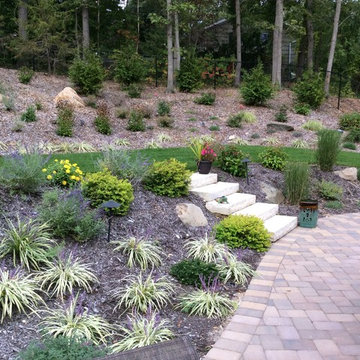 Backyard landscape design