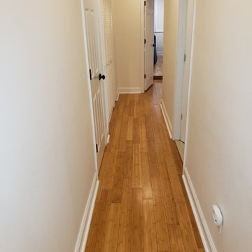 Renovation and Alteration to existing Duplex on Belmont Avenue